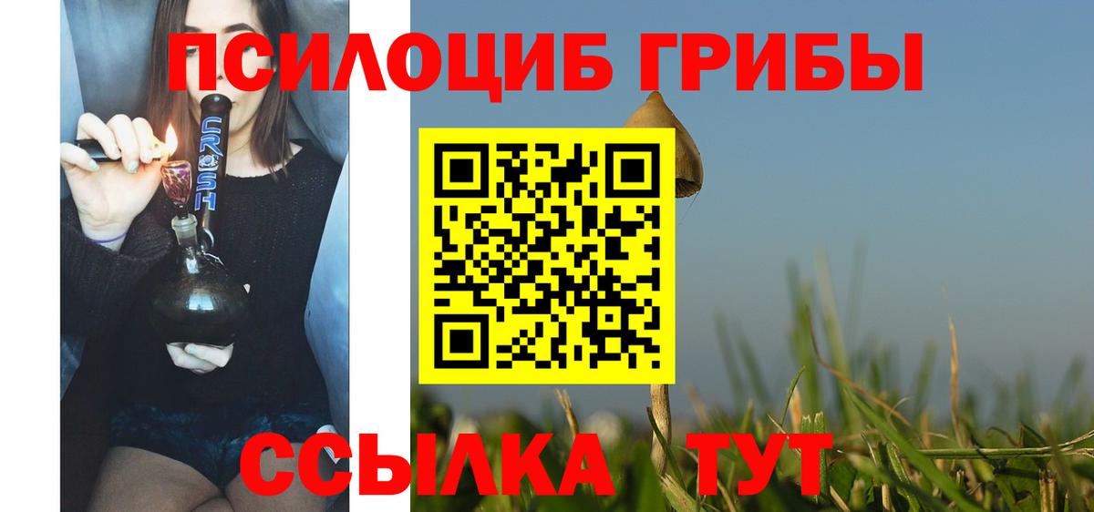 дарнет шоп  Псилоцибиновые грибы MAGIC MUSHROOMS  Вход с VPN  Сафоново 