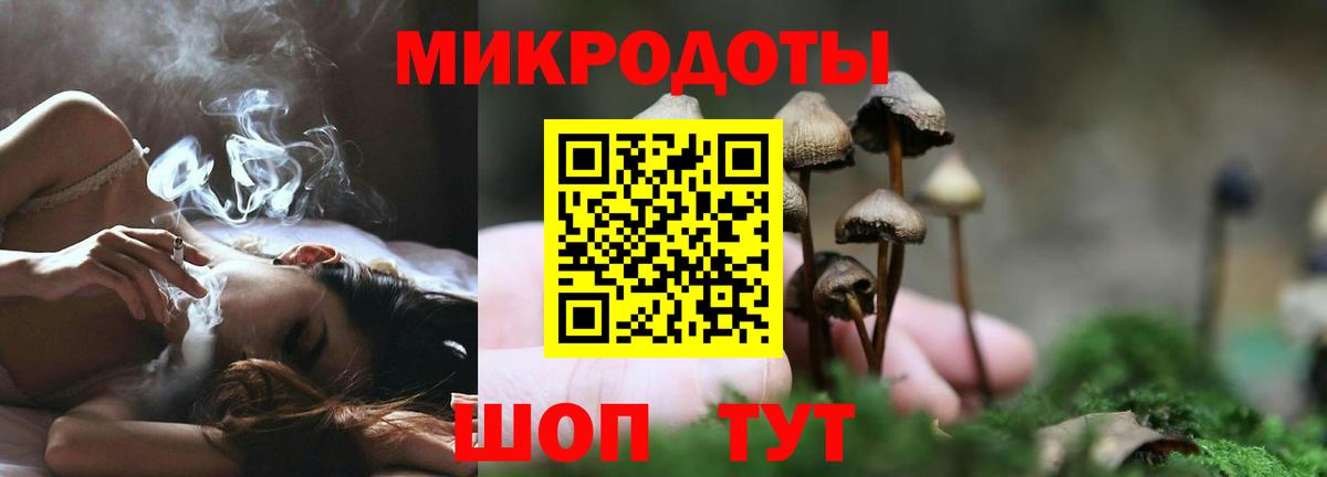 Галлюциногенные грибы Cubensis Сафоново